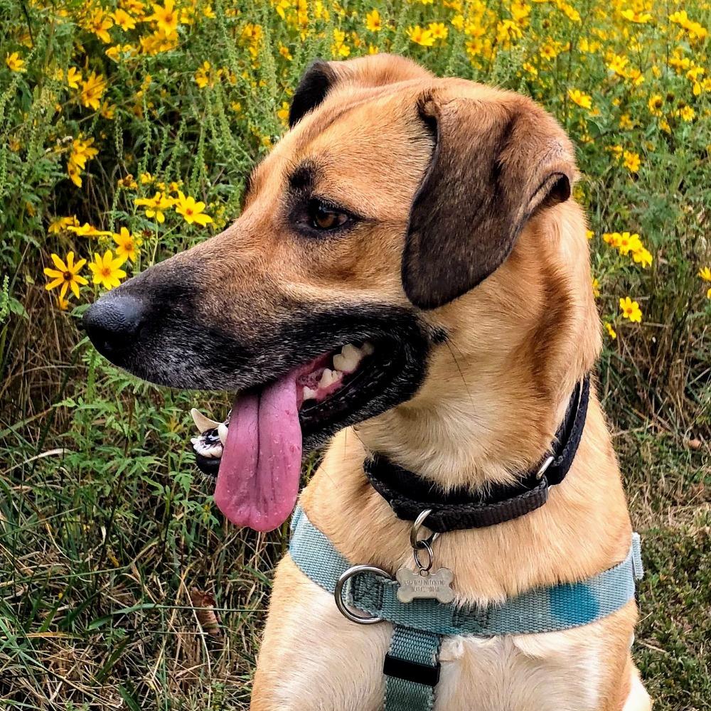 Meet your Posher, Isabel